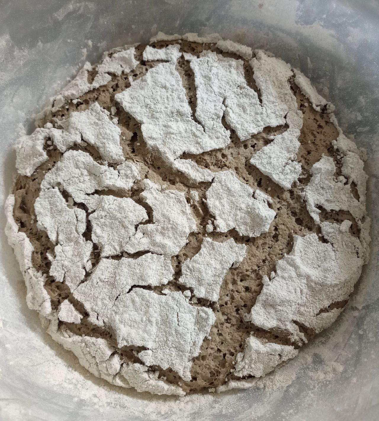 Seminare – Sauerteigkurs