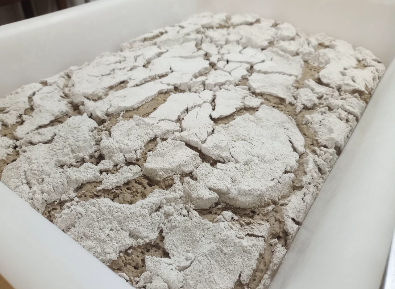 Seminare – Sauerteigkurs